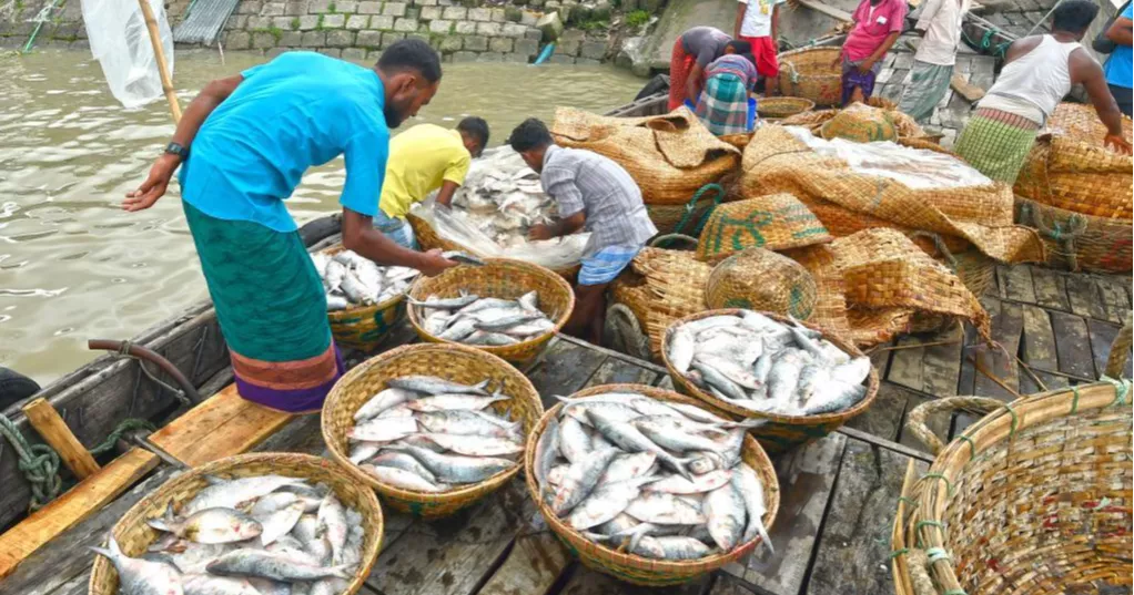 Aquaculture production overtakes capture fisheries for first time: FAO