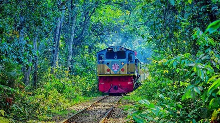 Tree falling at Lauachhara halts rail service to sylhet