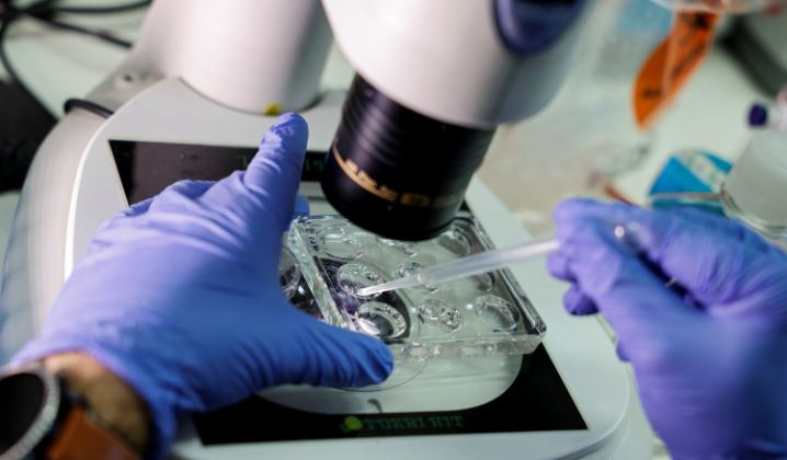 Israeli scientists create model of human embryo without eggs or sperm