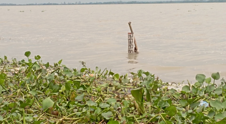 সিরাজগঞ্জে দ্রুত বাড়ছে যমুনার পানি