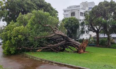 Typhoon Khanun kills one, knocks out power to one-third of Japan‍‍`s Okinawa homes