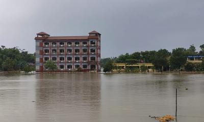 Flooding submerges 5,601 hectares of crops in Sylhet