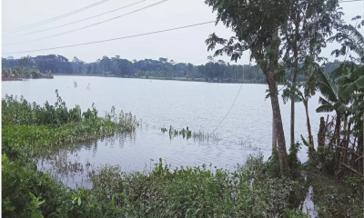 Cyclone Remal: Jhalakathi’s agriculture, fisheries suffer losses of over Tk 84.17cr
