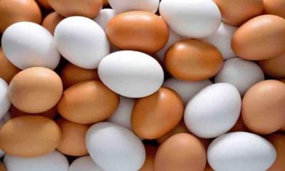 Govt approves import of 6 crore more eggs: Commerce Ministry