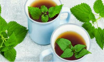 Nettle Leaf Tea: Health Benefits, Side Effects, and Recipes