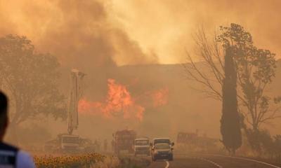 Turkey wildfire kills 12 and devastates flocks