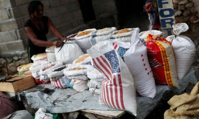 US rice exports to Haiti have unhealthy levels of arsenic, study finds