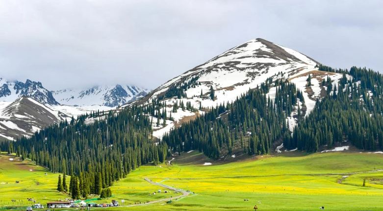 No concentration camp in Xinjiang, it is open to all, including foreign media: Chinese officials