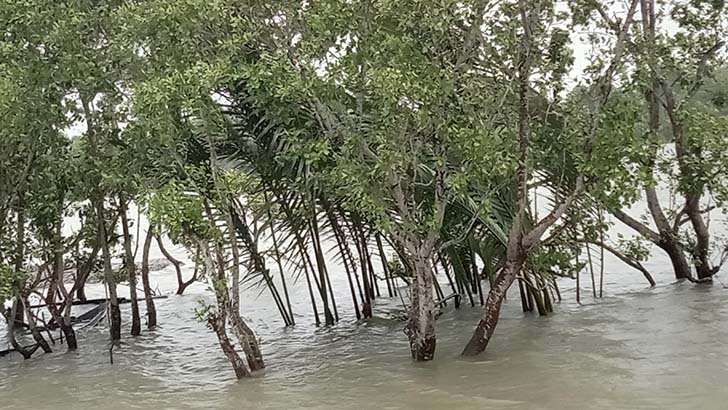 সুন্দরবন থেকে হরিণসহ ৫৬ মৃত প্রাণী উদ্ধার