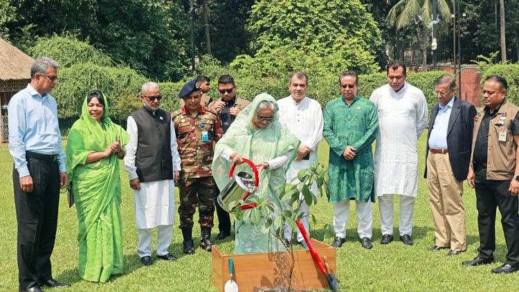 জলবায়ু পরিবর্তনের প্রভাব থেকে পরিবেশ বাঁচাতে গাছ লাগান: প্রধানমন্ত্রী