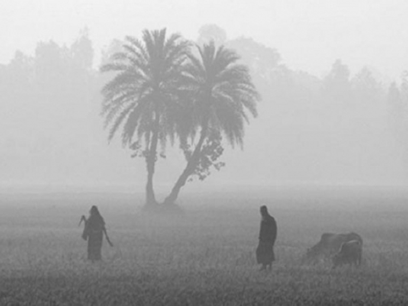 কমবে দিনের তাপমাত্রা, দক্ষিণে বাড়বে কুয়াশা