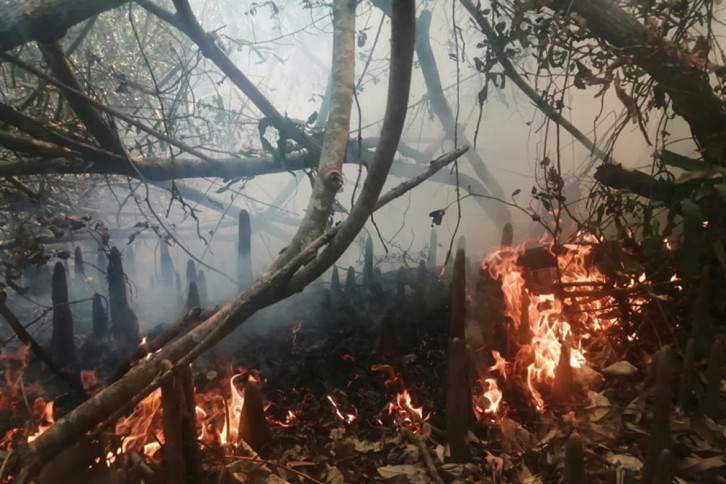 সুন্দরবনে আগুন নেভাতে কাজ শুরু