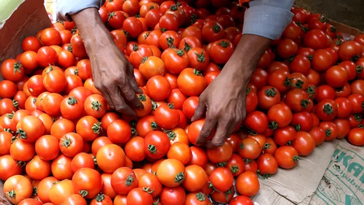 Tomatoes selling at Tk300 per kg in Dhaka while apples at Tk270