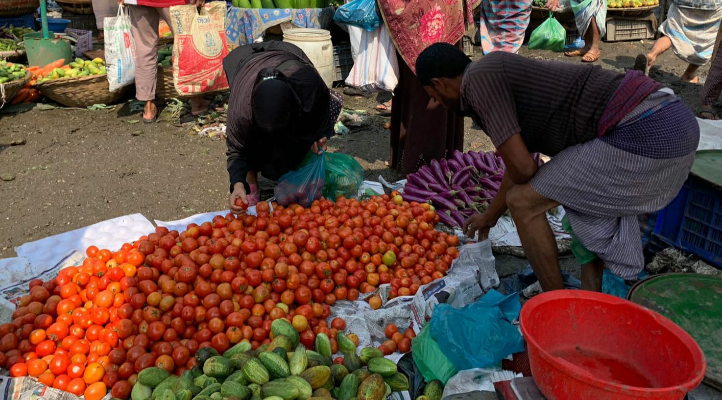 টমেটো কিনলেই লাউ ফ্রি