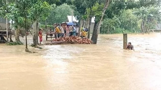 শেরপুরে কমছে বন্যার পানি, নিহত ৮