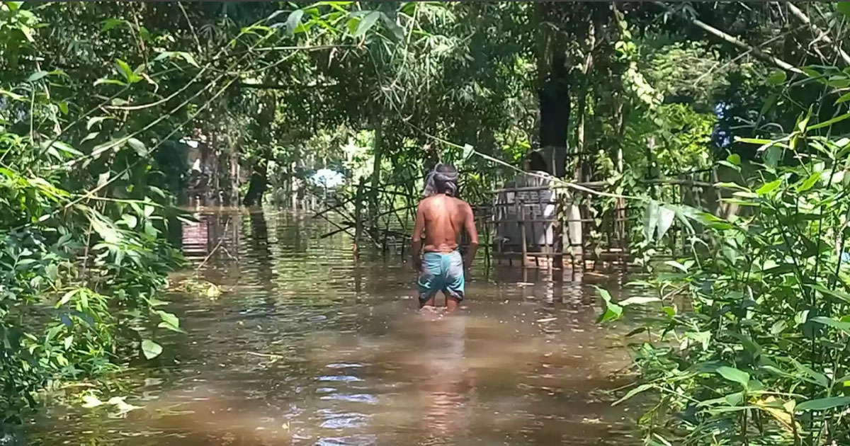 বন্যার পানিতে চাঁদপুরের ১ লাখ বাসিন্দা আটকা, খাবার ও পানির সংকট চরমে