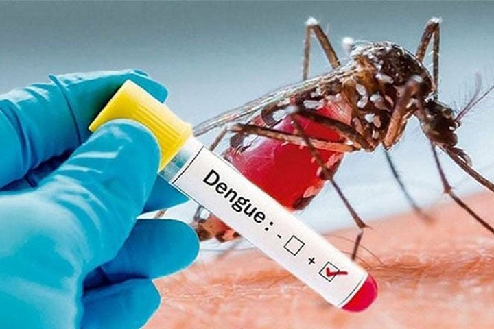 Three dengue patients die, 403 hospitalized in 24 hrs