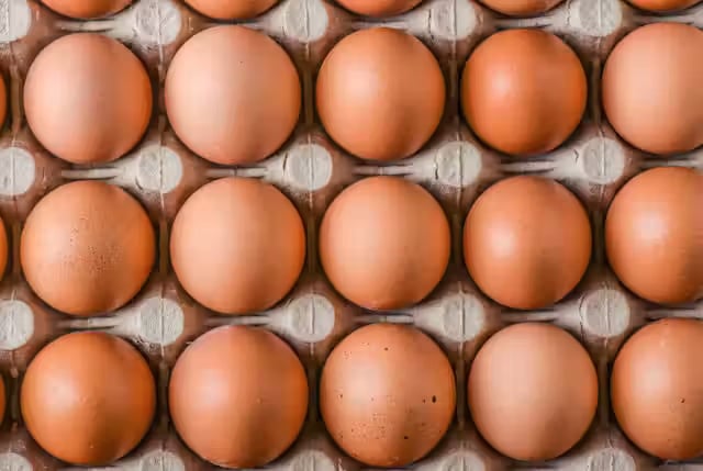 Egg price drops by Tk 20 per dozen following govt steps