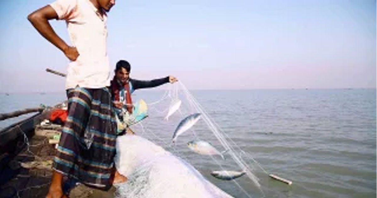 ইলিশের যোগান নিয়ে কলকাতার মাছ ব্যবসায়ীরা চিন্তিত