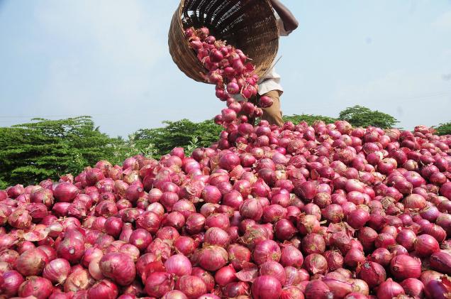 Local Onion prices rise to Tk155: Trade Commission proposes tax cut