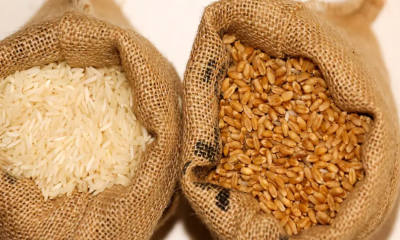 Govt to import 600,000 MT of rice , wheat