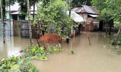 নোয়াখালীতে বন্যা পরিস্থিতির উন্নতি