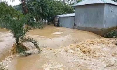 শেরপুরে পাহাড়ি ঢলে শতাধিক গ্রাম প্লাবিত