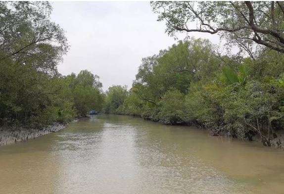 Bangladesh, Germany join hands to conserve Sundarbans