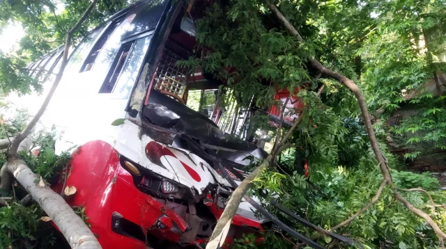 বাগেরহাটে দুই বাসের সংঘর্ষে ভারতীয় নাগরিক নিহত, আহত ১০