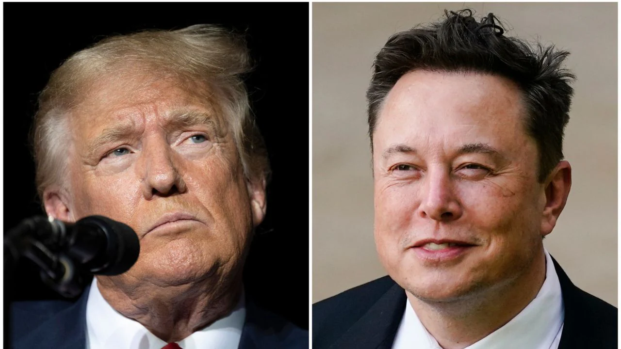 Trump appoints Elon Musk to new Government role