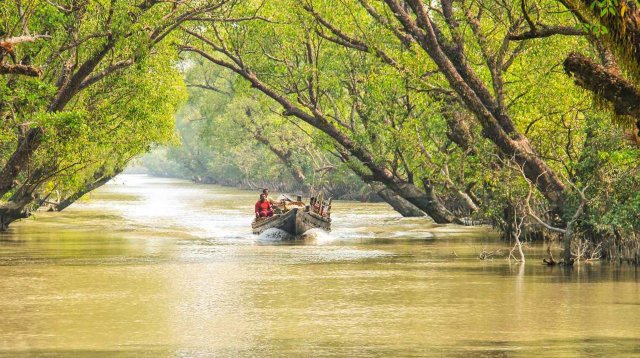 আগামীকাল থেকে উন্মুক্ত হচ্ছে সুন্দরবন