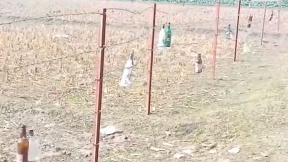 BSF hangs glass bottles on Dahagram border fence, locals concerned