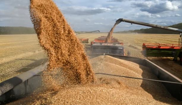 Ukraine calls for EU sanctions on Bangladeshi entities for import of ‘stolen grain’
