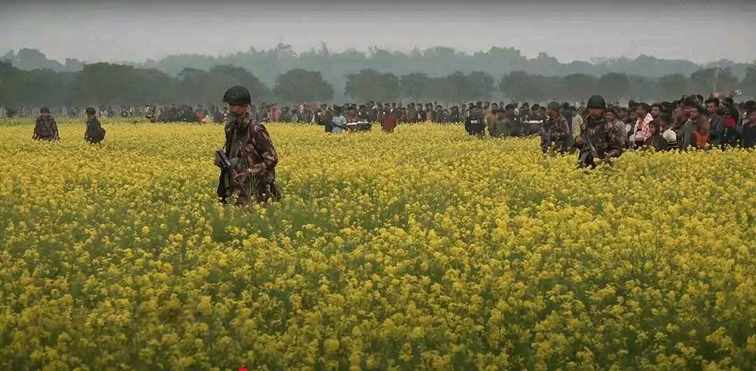 18 BSF killed in Bangladesh clash? A closer look at the fake news