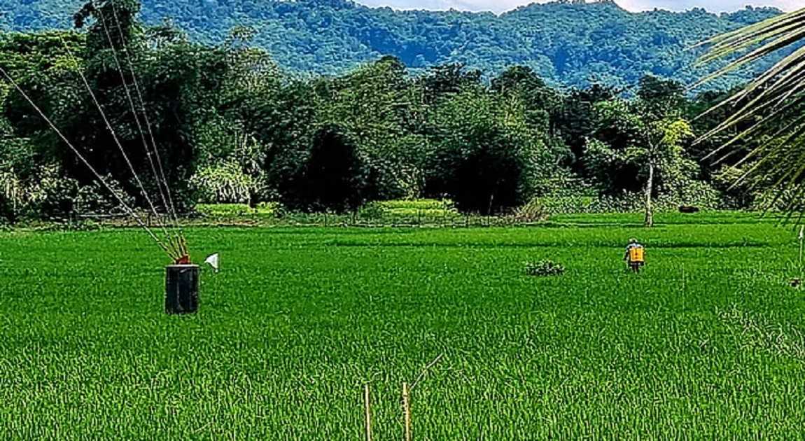 Gunfire heard again across Ghumdhum border, panic among locals