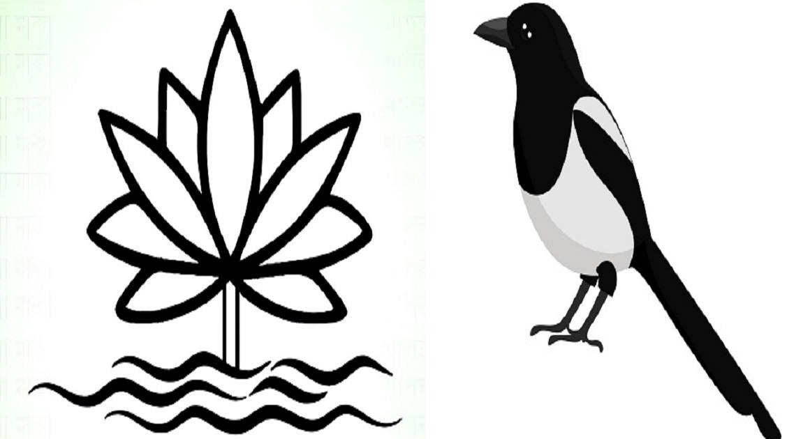 Lily, magpie off, EC unveils new electoral symbol