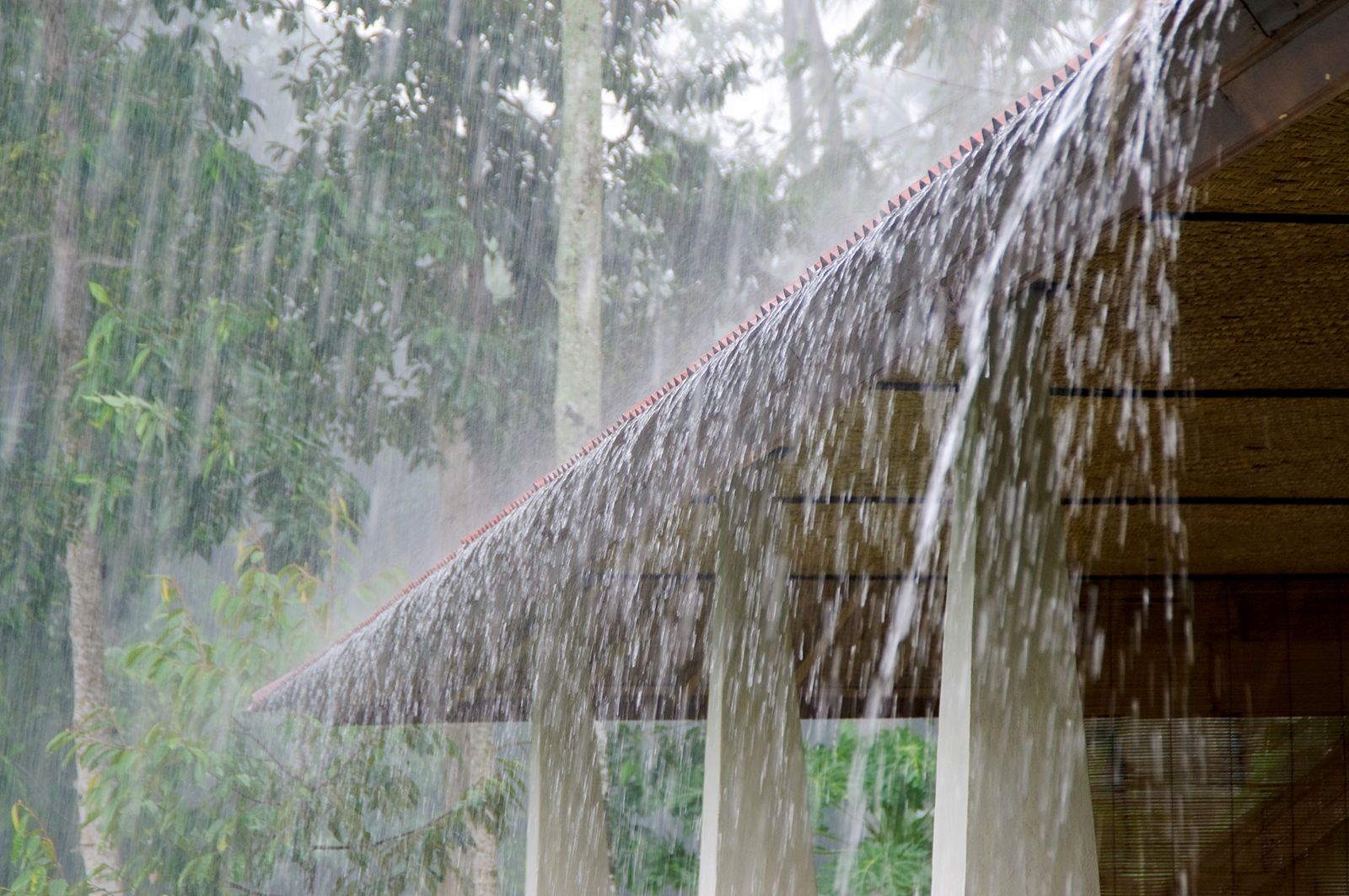 Rainfall likely to increase across Bangladesh over next five days