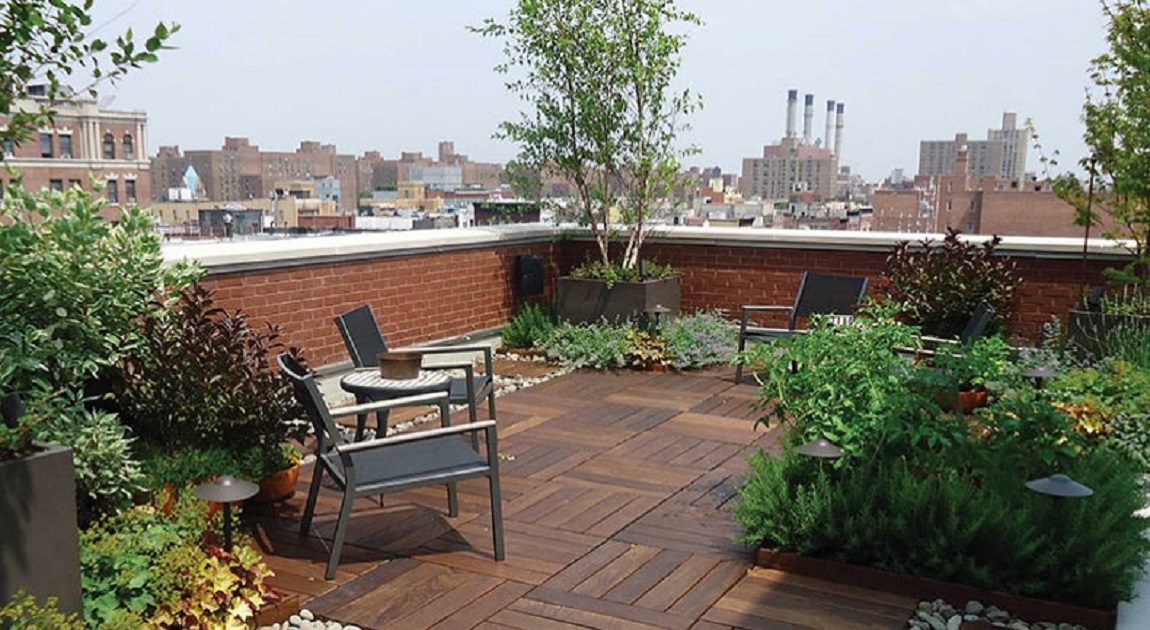 How gardening can help you live better, for longer