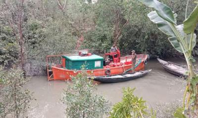 Sundarbans fire largely under control, investigation launched into cause