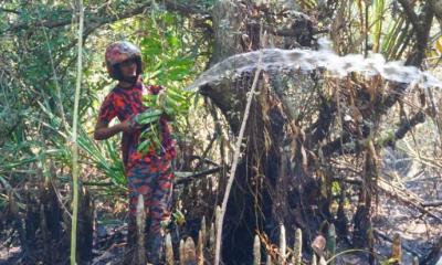 Sundarbans fire under control after 48-hr battle