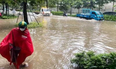 Typhoon Bualoi Death Toll In Vietnam Tops 51