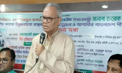 Rizvi says PM taking strict action over negligence in govt work