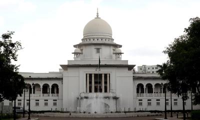 HC orders supply of antivenom to all upazila hospitals