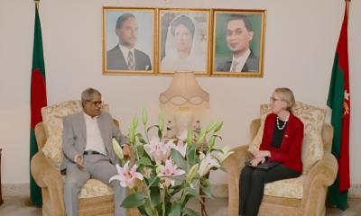 British high commissioner meets Mirza Fakhrul