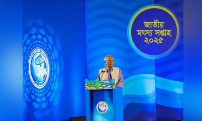 Protect nature to conserve fisheries: Chief adviser