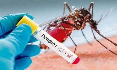 2 more die of dengue, 423  hospitalised