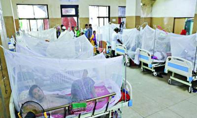 Dengue claims 3 more lives, 534 hospitalised in 24 hours