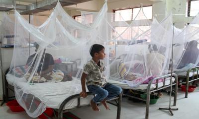 One more dies of dengue, 383 hospitalized in 24 hours