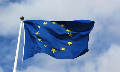 EU observers submit final report on Feb 12 polls