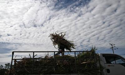 Ecuador declares nationwide emergency over El Niño threat